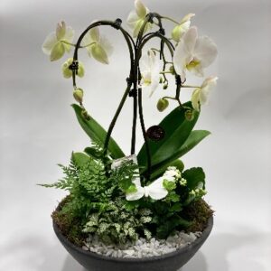 Bloemenboeket David Hof